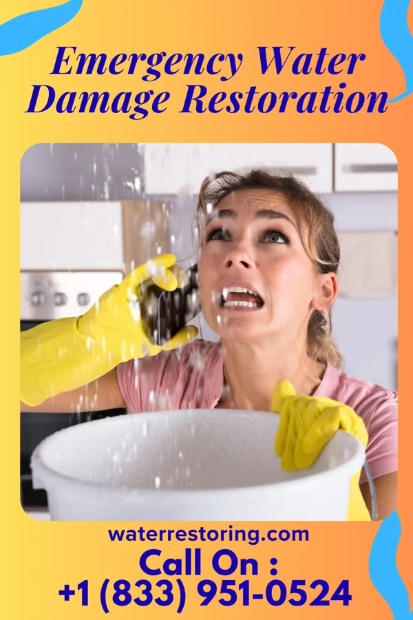 Emergency Water Damage Restoration in Magness, AR