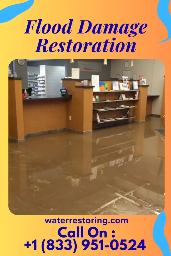 Flood Damage Restoration in Magness, AR